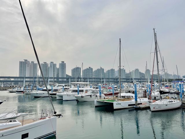 찐 부산여행 광안리 요트투어 🛥💙