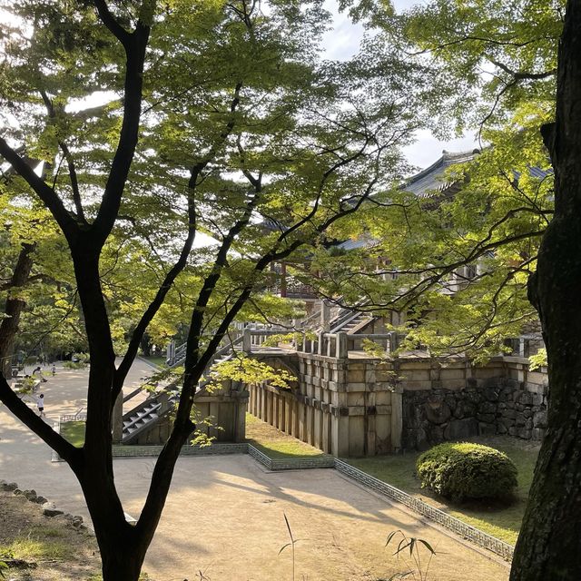 고즈넉한 분위기의 옛 건물의 아름다움 경주 불국사