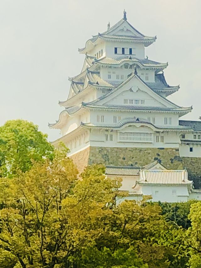季節毎に白さ映える白鷺【世界文化遺産 姫路城】兵庫