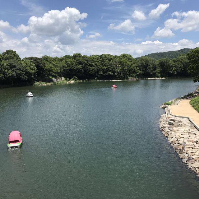 岡山代表地🤪岡山城🫶🏻歷史建築🈴️旅遊必到