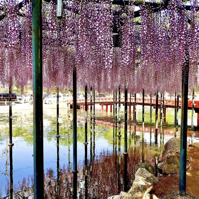 天王川公園