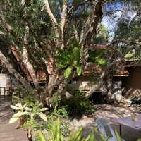 D’ Budi Beach Resort