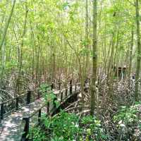 วนอุทยานปราณบุรี ประจวบคีรีขันธ์