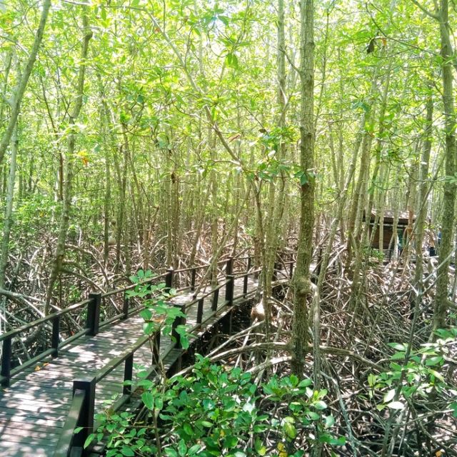 วนอุทยานปราณบุรี ประจวบคีรีขันธ์