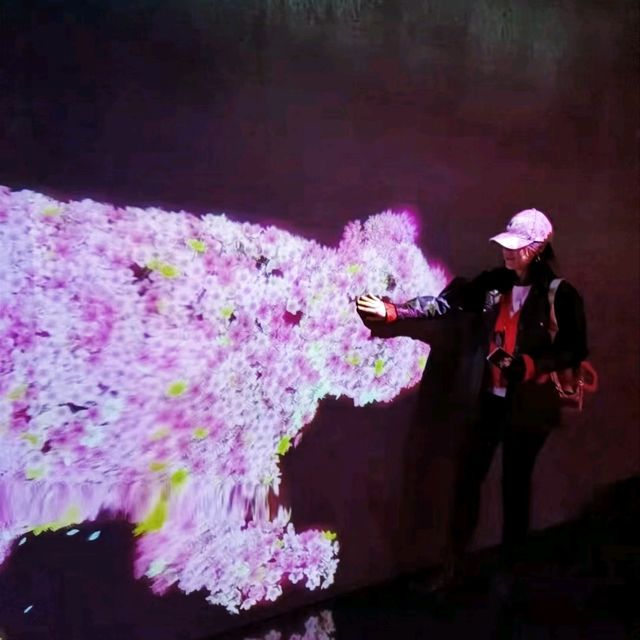 "Enchanted Pixels: TeamLab Borderless Shanghai Unveiled"