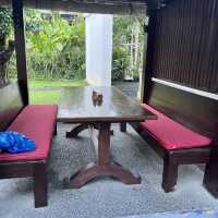 Good quality food in Seminyak
