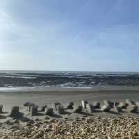 ✨許厝港濕地✨