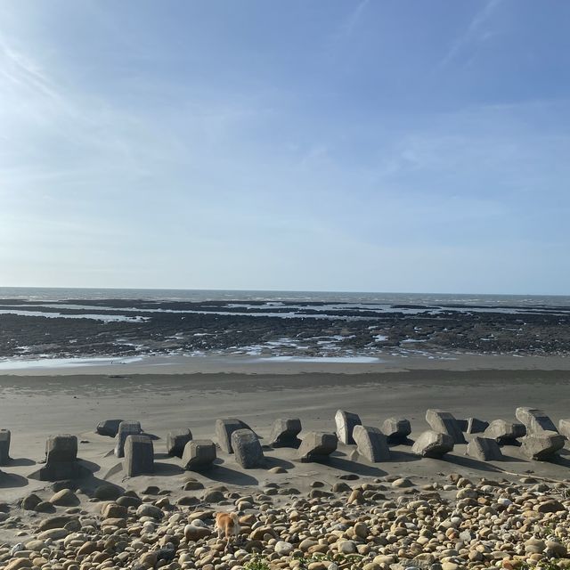 ✨許厝港濕地✨