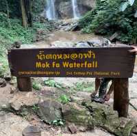 🌿⛰️สูดอากาศบริสุุทธิ์ชมน้ำตกสุดฟิน💦🌸