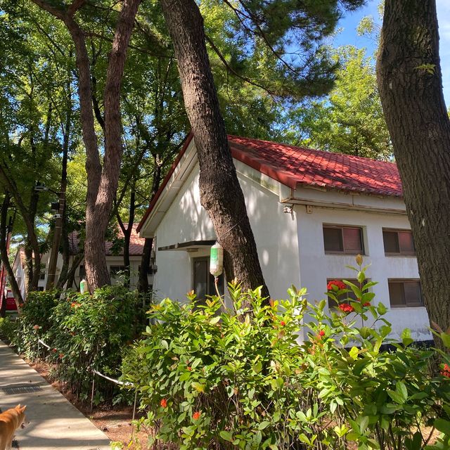 ✨八塊厝民俗藝術村✨