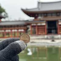【日本/京都/宇治平等院】- 鳳凰堂 平等院 By CoStudio