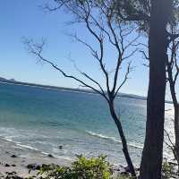 Noosa -Queensland 🇦🇺🦘🐨
