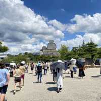 兵庫県！国宝姫路城