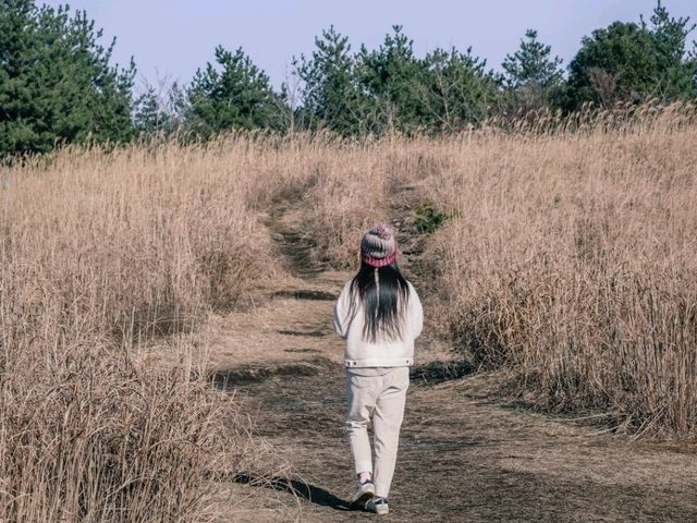 가볍게 오르며 제주를 느끼기 좋은, 산굼부리