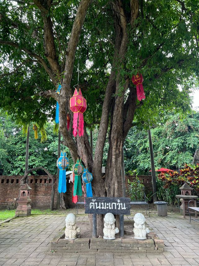 วัดต้นเกว๋น (วัดอินทราวาส) วัดเก่า สวยงามมาก 
