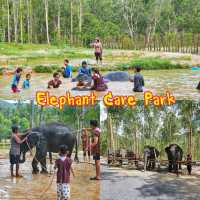 Elephat care park phuket