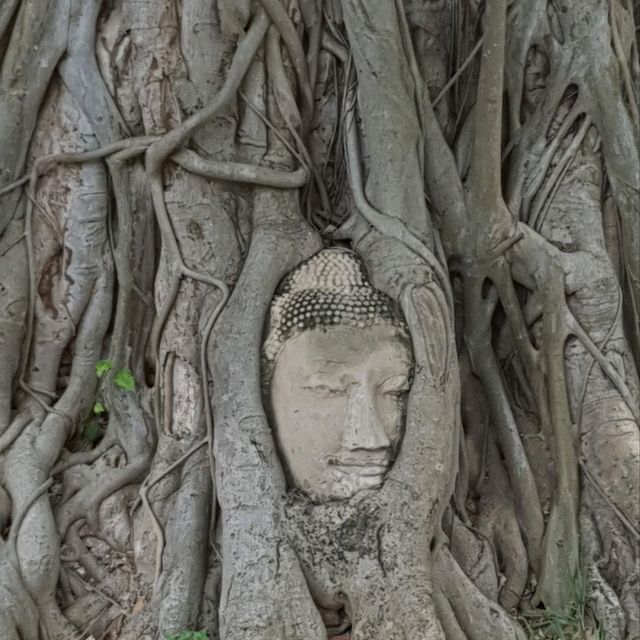 Ayutthaya, Thailand - worth to visit