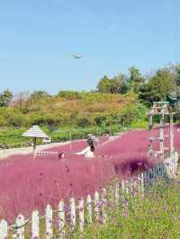 꽃잔치 가득 열린 청주 카페 아르떼 물들이다🌸