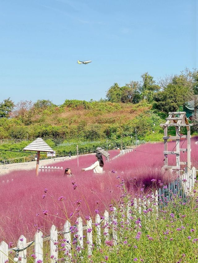 꽃잔치 가득 열린 청주 카페 아르떼 물들이다🌸