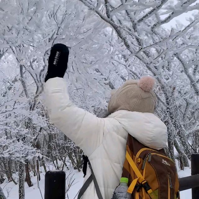 곤도라타고 5분이면 볼 수 있는 무주 덕유산 상고대