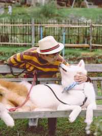 Mori Natural Farm โมริ เนเชอรัลฟาร์ม เชียงใหม่ 