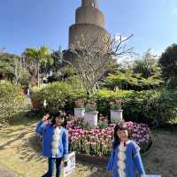 #沖繩最大鬱金香特展