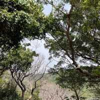 海天一色‼️情侶💑家庭快閃3小時行山之旅