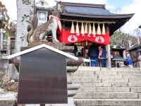 【京都市】無数の鳥居をくぐり山頂へ⛩