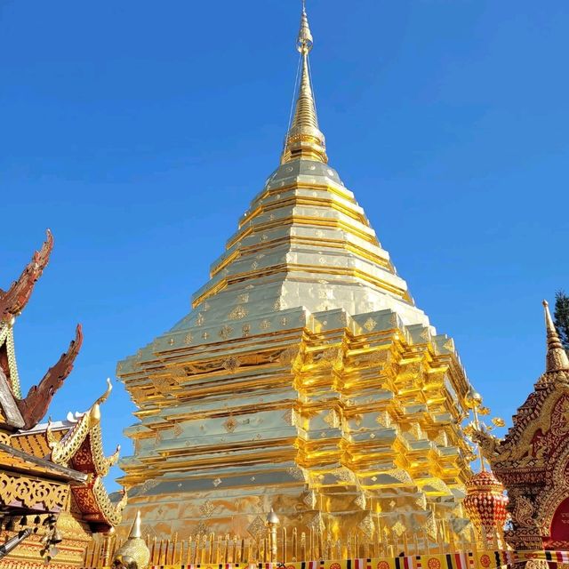 ✨ วัดพระธาตุดอยสุเทพราชวรวิหาร ✨