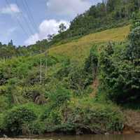 Through riverine of Sarawak