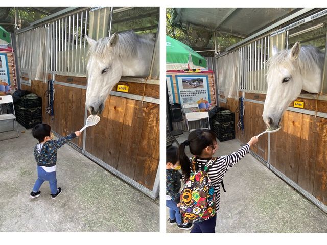 親親大自然🐎🦙🐇🐑