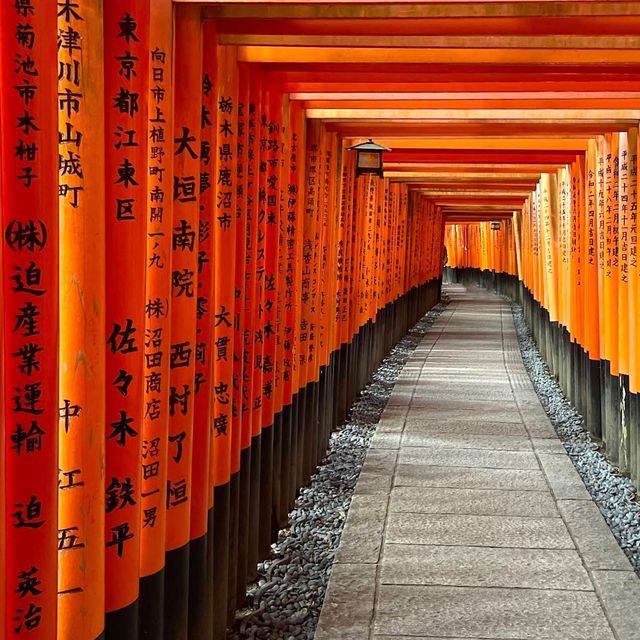 京都必遊景點，難以走到盡頭既朱紅色鳥居
