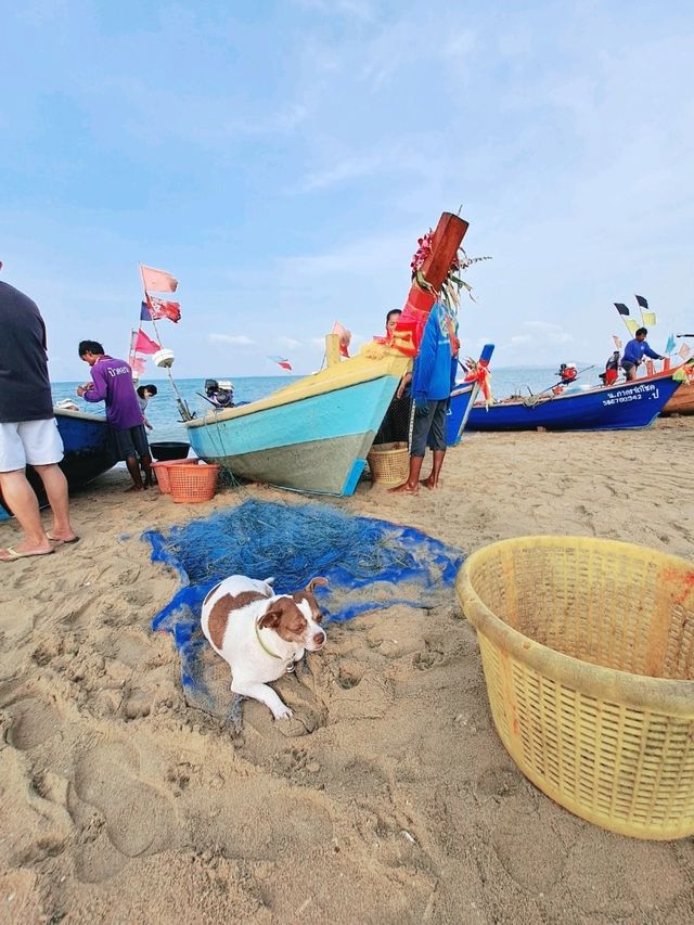 ช็อปของทะเลสดๆ จากตลาดประมงพื้นบ้าน หาดจอมเทียน