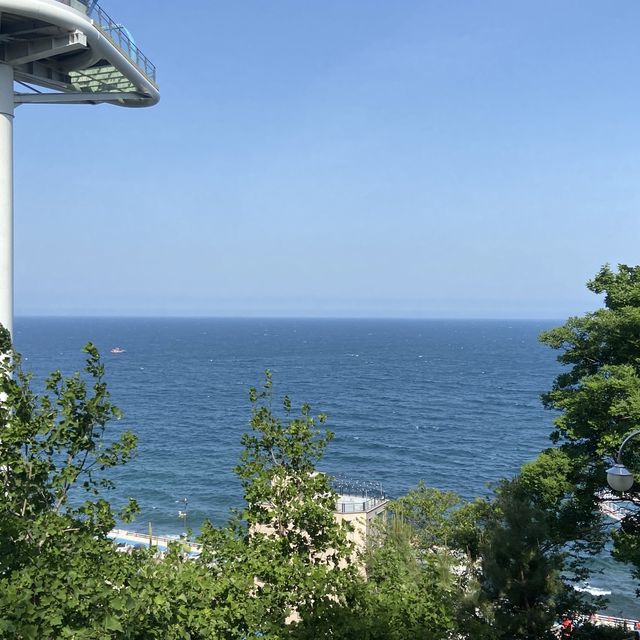 강원도 가볼만한곳 도째비골 스카이밸리