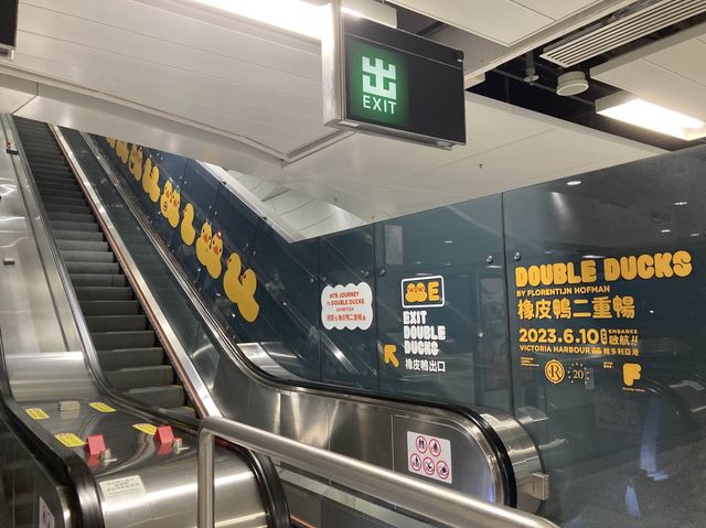 《🐤期間限定黃鴨主題車站🚇》