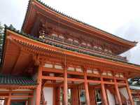 京都　京都観光　2023年平安神宮の桜！