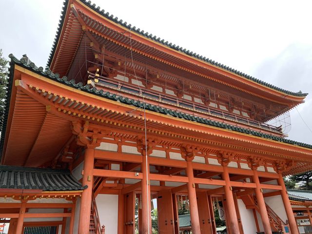 京都　京都観光　2023年平安神宮の桜！
