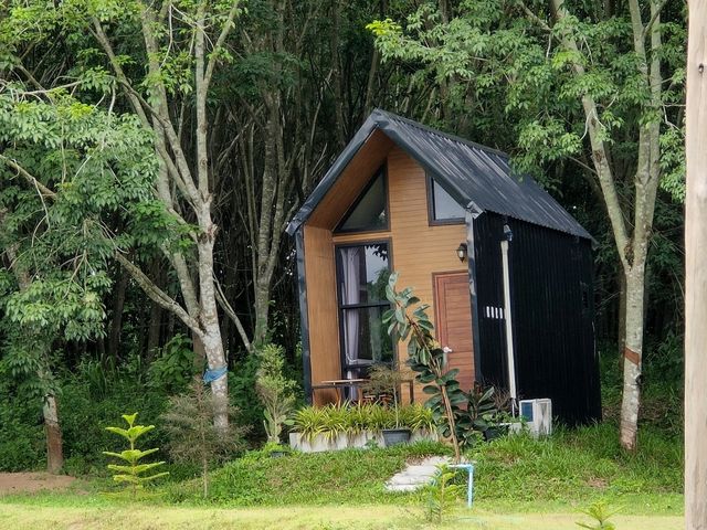คาเฟ่และที่พัก สไตล์เขาใหญ่ในระยอง
