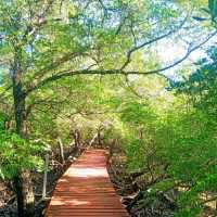 #สะพานแดง ป่าชายเลนบ้านสลักเพชร
