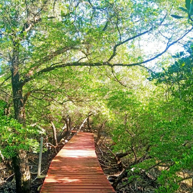 #สะพานแดง ป่าชายเลนบ้านสลักเพชร