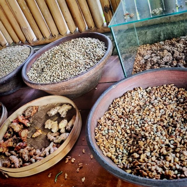 The exotic Luwak Coffee