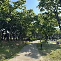 부산 다대포해수욕장 산책코스