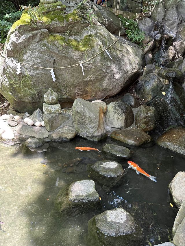 静岡観光＊来宮神社