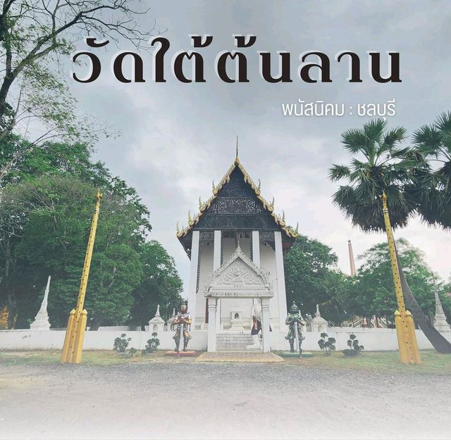 วัดใต้ต้นลาน
