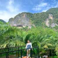 คาเฟ่กระบี่ ท่ามกลางธรรมชาติ