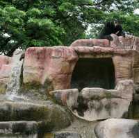 สวนสัตว์เปิด ซาฟารีปาร์ค แอนด์ แคมป์ บ่อพลอย