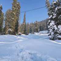 Gulmarg -The Heaven 