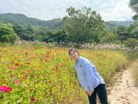 남원 조경원 카페 아담원🌷