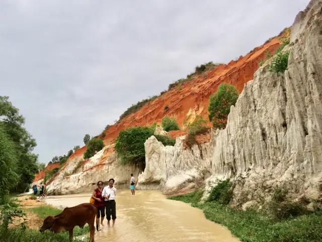 A walk Through Nature in Mui Ne