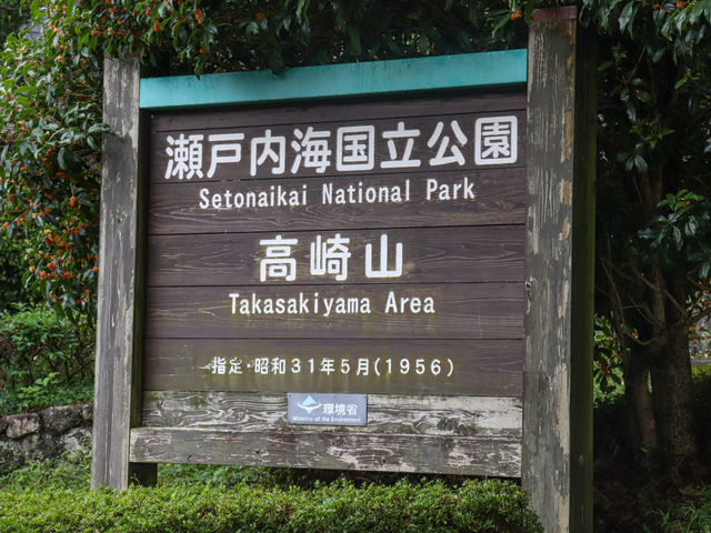 【大分県】 ニホンザルの聖地「高崎山自然動物園」🐒